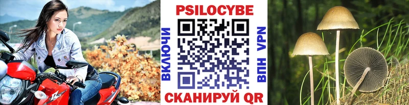 Галлюциногенные грибы мухоморы  Хадыженск 
